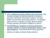 Valstybės tarnybos lyginamoji analizė skaidrės 11 puslapis