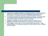 Valstybės tarnybos lyginamoji analizė skaidrės 12 puslapis
