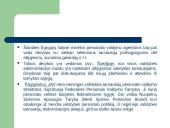 Valstybės tarnybos lyginamoji analizė skaidrės 14 puslapis