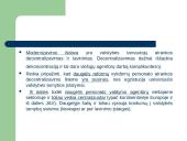 Valstybės tarnybos lyginamoji analizė skaidrės 15 puslapis