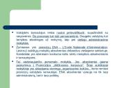 Valstybės tarnybos lyginamoji analizė skaidrės 16 puslapis