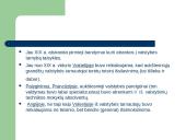 Valstybės tarnybos lyginamoji analizė skaidrės 4 puslapis