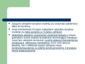 Valstybės tarnybos lyginamoji analizė skaidrės 7 puslapis