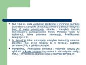 Valstybės tarnybos lyginamoji analizė skaidrės 9 puslapis