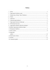 Ergoterapeuto kabinetas verslo planas 2 puslapis