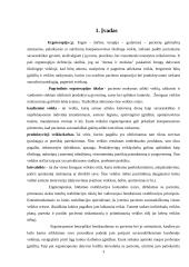 Ergoterapeuto kabinetas verslo planas 3 puslapis