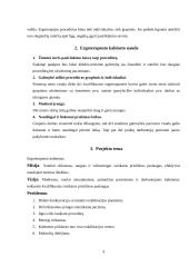 Ergoterapeuto kabinetas verslo planas 4 puslapis