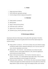 Ergoterapeuto kabinetas verslo planas 5 puslapis