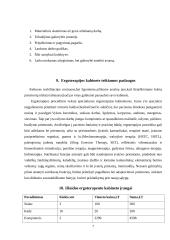 Ergoterapeuto kabinetas verslo planas 7 puslapis