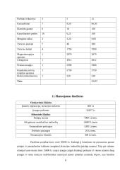 Ergoterapeuto kabinetas verslo planas 8 puslapis