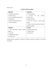 Ergoterapeuto kabinetas verslo planas 9 puslapis