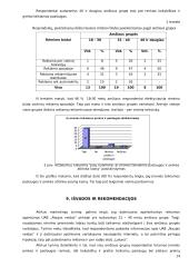Marketingo tyrimas/analizė 14 puslapis