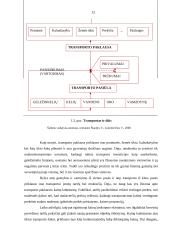 Keleivinio transporto priemonių parko tobulinimo kryptys UAB „X“ įmonėje 13 puslapis