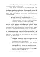 Keleivinio transporto priemonių parko tobulinimo kryptys UAB „X“ įmonėje 15 puslapis