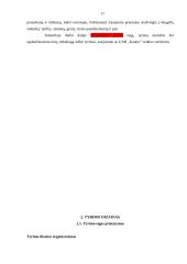 Keleivinio transporto priemonių parko tobulinimo kryptys UAB „X“ įmonėje 17 puslapis