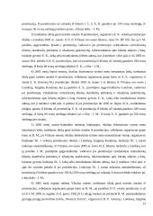 Prekyba žmonėmis. Teisės savarankiškas darbas 19 puslapis