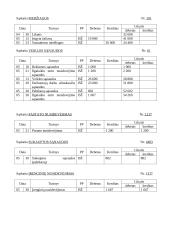 Apskaitos pagrindai. Savarankiškas darbas 11 puslapis