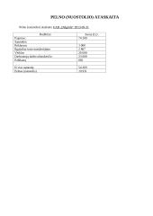 Apskaitos pagrindai. Savarankiškas darbas 12 puslapis