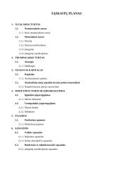 Apskaitos pagrindai. Savarankiškas darbas 4 puslapis