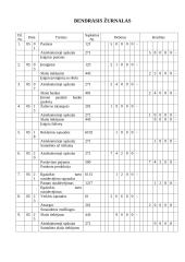 Apskaitos pagrindai. Savarankiškas darbas 8 puslapis