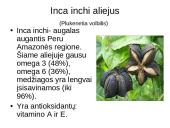 Biologiškai aktyvios medžiagos kosmetikoje 18 puslapis