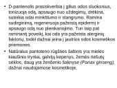 Biologiškai aktyvios medžiagos kosmetikoje 4 puslapis