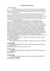 Drabužių siuvykla "Sukurk svajonę" 2 puslapis