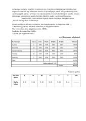 Drabužių siuvykla "Sukurk svajonę" 13 puslapis