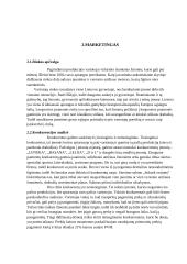 Drabužių siuvykla "Sukurk svajonę" 3 puslapis