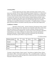 Drabužių siuvykla "Sukurk svajonę" 4 puslapis