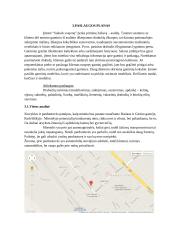 Drabužių siuvykla "Sukurk svajonę" 7 puslapis