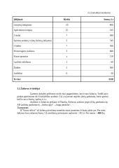 Drabužių siuvykla "Sukurk svajonę" 9 puslapis