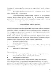 Lietuvos užsienio prekybos struktūra ir tendencijos 9 puslapis