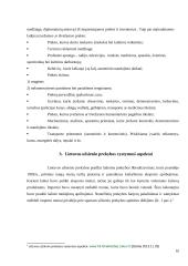 Lietuvos užsienio prekybos struktūra ir tendencijos 10 puslapis