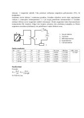 Bio ir savaro dėsnio taikymas matuojant žemės  magnetinio lauko horizontaliąją komponentę 2 puslapis