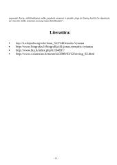 Jonas Žemaitis-Vytautas referatas 11 puslapis