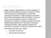 Draudumas su bylų pavyzdžiais 2 puslapis