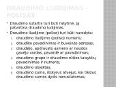 Draudumas su bylų pavyzdžiais 11 puslapis