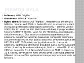 Draudumas su bylų pavyzdžiais 13 puslapis