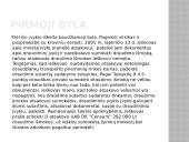 Draudumas su bylų pavyzdžiais 14 puslapis