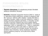 Draudumas su bylų pavyzdžiais 15 puslapis