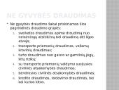 Draudumas su bylų pavyzdžiais 3 puslapis