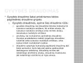 Draudumas su bylų pavyzdžiais 4 puslapis