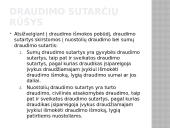 Draudumas su bylų pavyzdžiais 6 puslapis