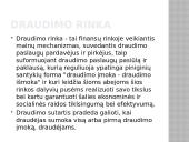 Draudumas su bylų pavyzdžiais 7 puslapis