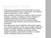 Draudumas su bylų pavyzdžiais 10 puslapis