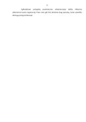 „Ekranas“ futbolo klubo administravimas 11 puslapis