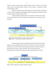 „Ekranas“ futbolo klubo administravimas 6 puslapis
