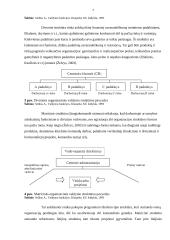 „Ekranas“ futbolo klubo administravimas 7 puslapis
