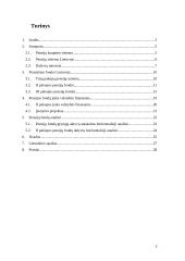 Lietuvos pensijiniai fondai ir jų įtaka valstybės finansams 2 puslapis